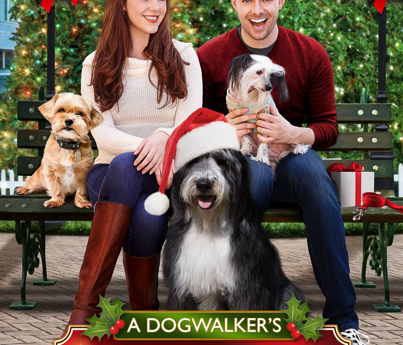 Poster for the movie "A Dogwalker's Christmas Tale"