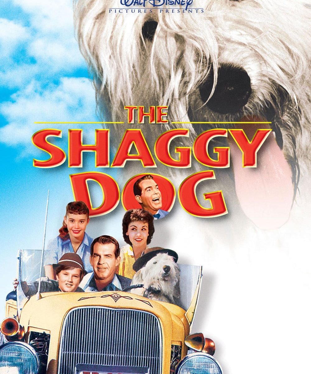 Poster for the movie "The Shaggy Dog"