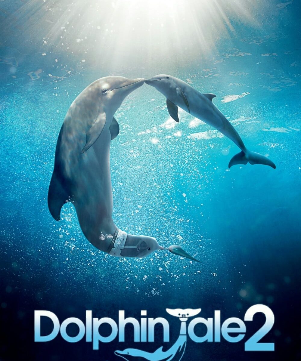 Poster for the movie "Dolphin Tale 2"
