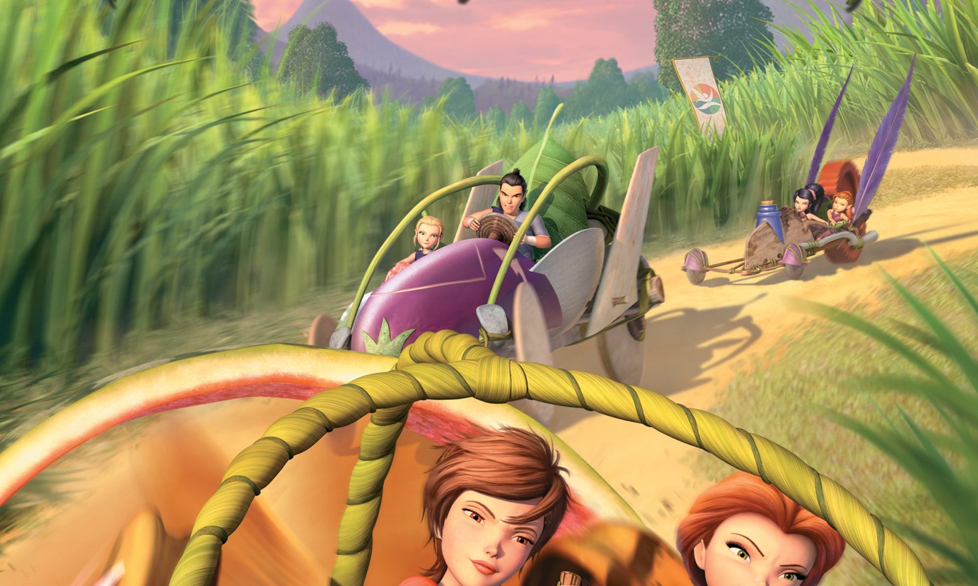Poster for the movie "Pixie Hollow Games"