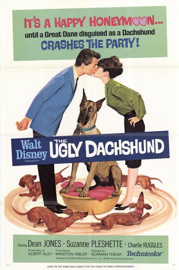 Poster for the movie "The Ugly Dachshund"