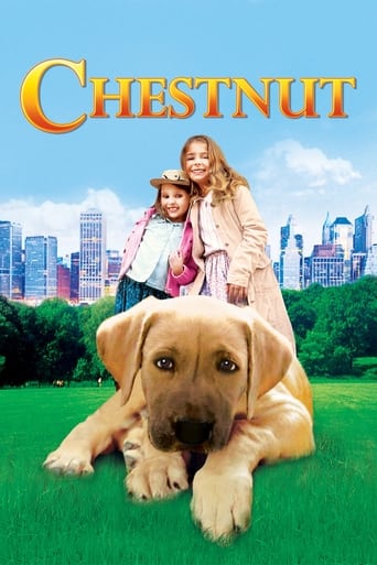 Poster for the movie "Chestnut: Hero of Central Park"